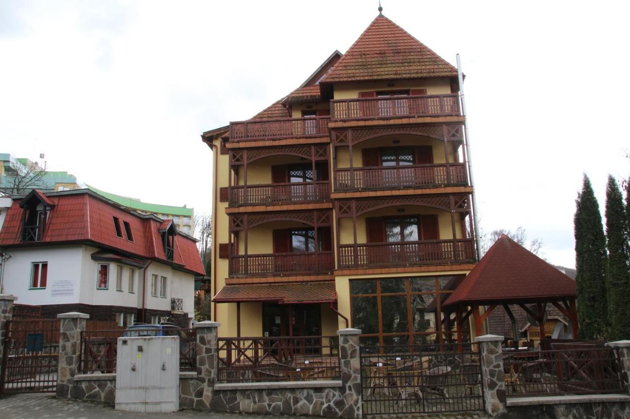 Vila Ursu Din Sovata Bai エクステリア 写真