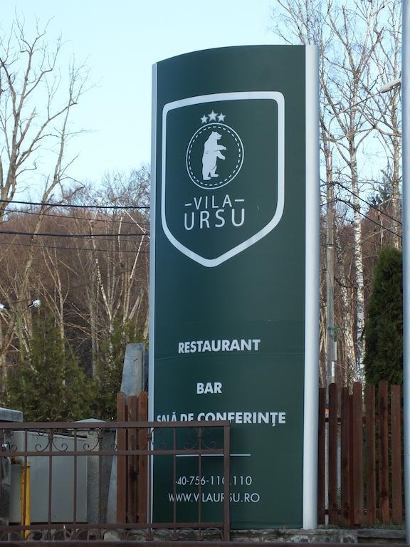 Vila Ursu Din Sovata Bai エクステリア 写真